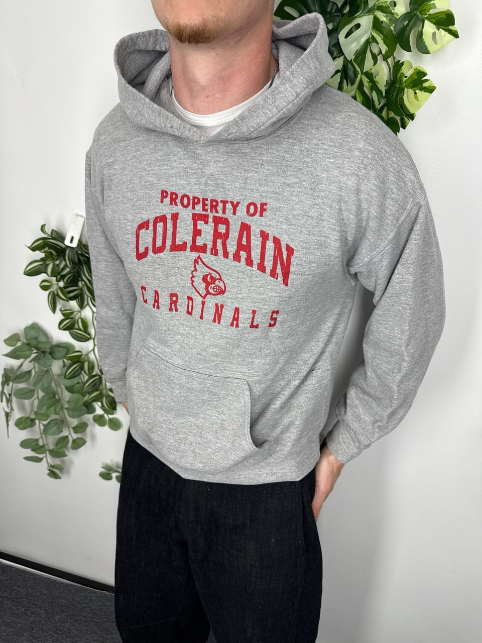 Colerain Cardinals College Hoodie grau meliert Fitpic