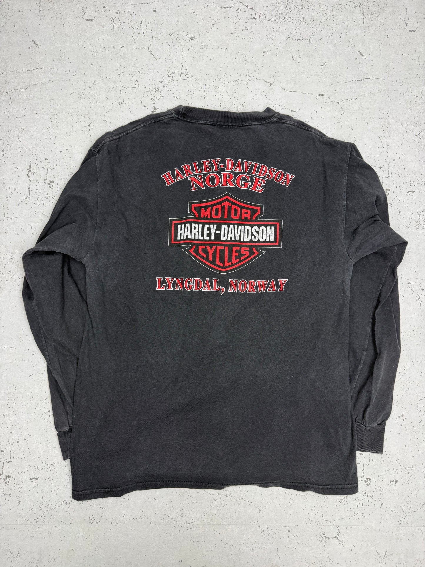 Harley-Davidson Vintage Longsleeve in Schwarz, Größe M, Rückansicht